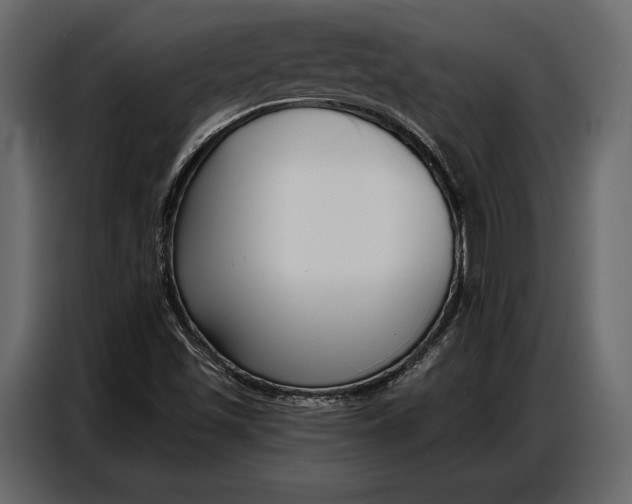 X0000086881501200705071151