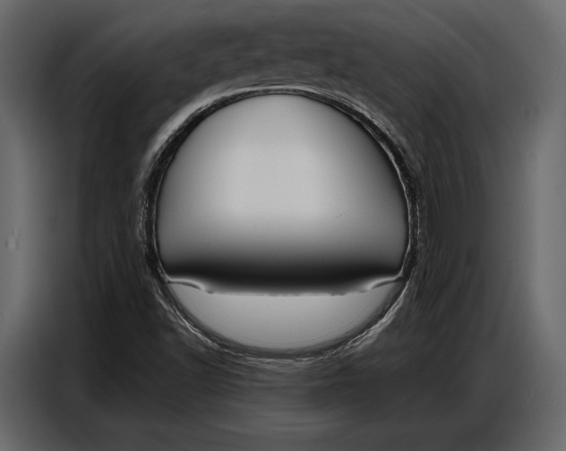 X0000086881502200705071151