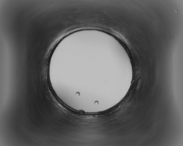 X0000086881504200705071151