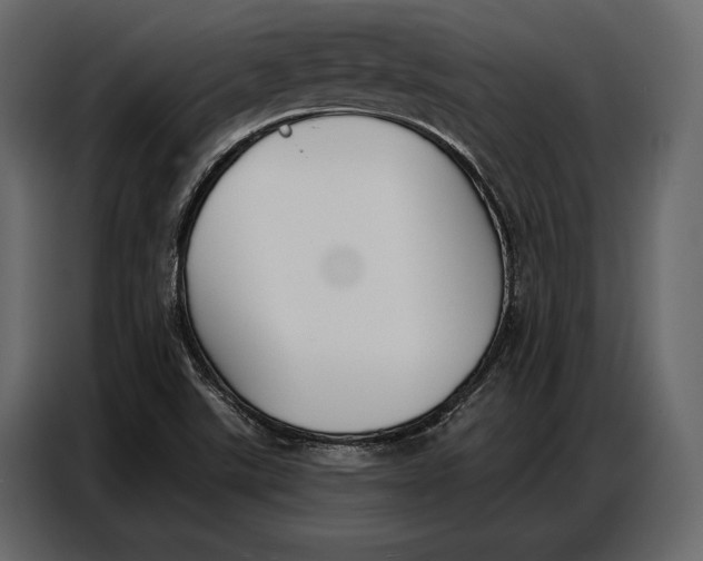 X0000086881507200705071151