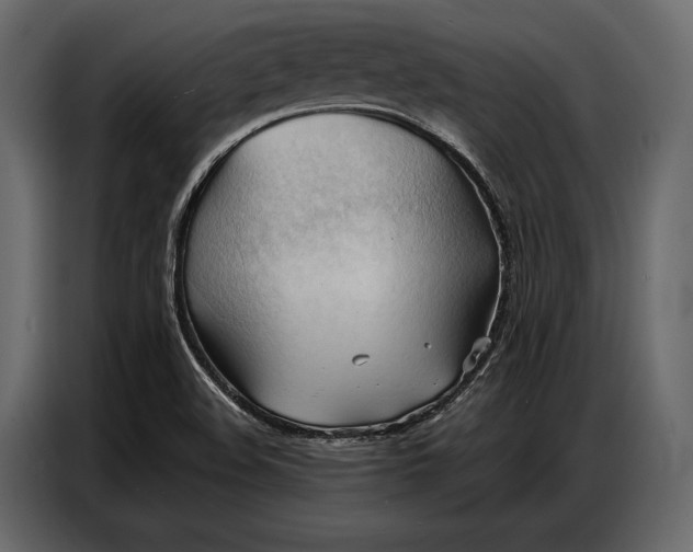 X0000086881508200705071151