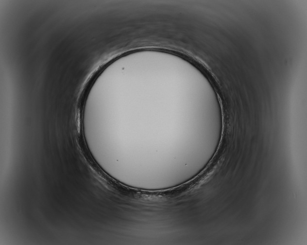 X0000086881509200705071151