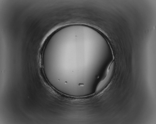 X0000086881510200705071151