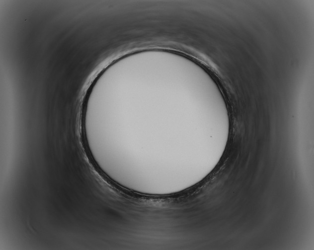 X0000086881512200705071151