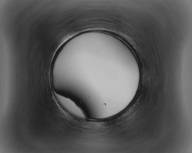 X0000086881513200705071151