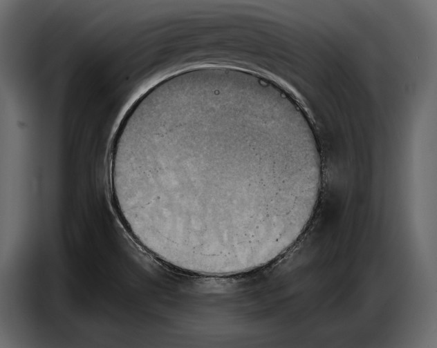 X0000086881514200705071151