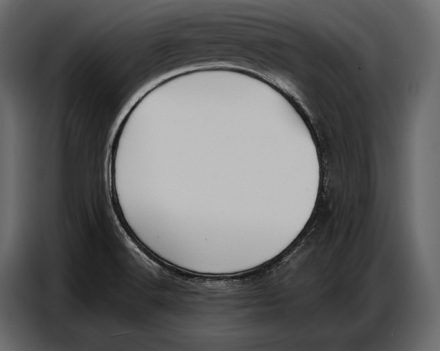 X0000086881516200705071151