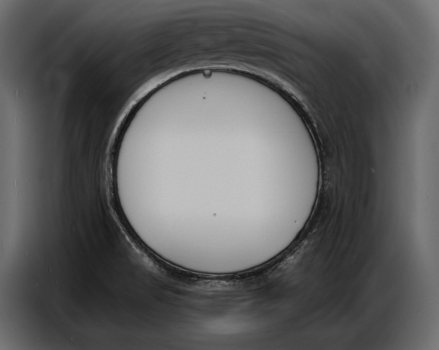 X0000086881517200705071151