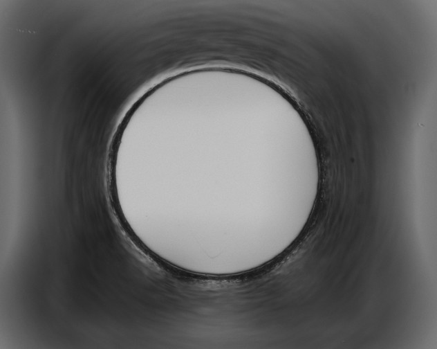 X0000086881518200705071151