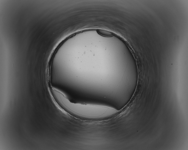 X0000086881519200705071151