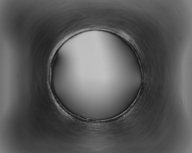 X0000086881520200705071151