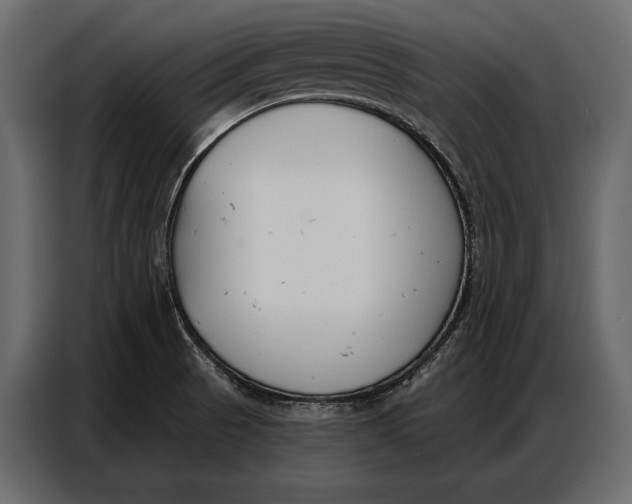 X0000086881521200705071151