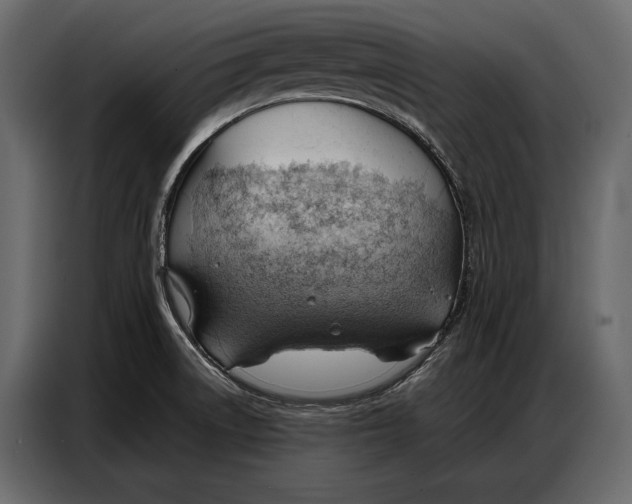 X0000086881522200705071151