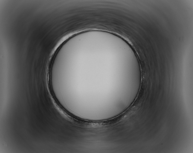 X0000086881523200705071151