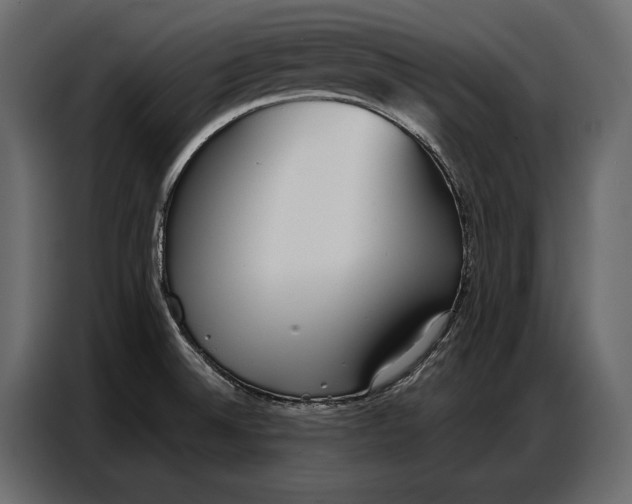 X0000086881524200705071151