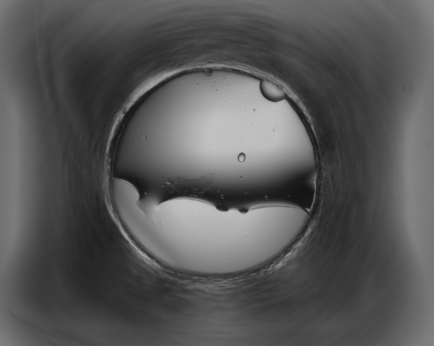 X0000086881525200705071151