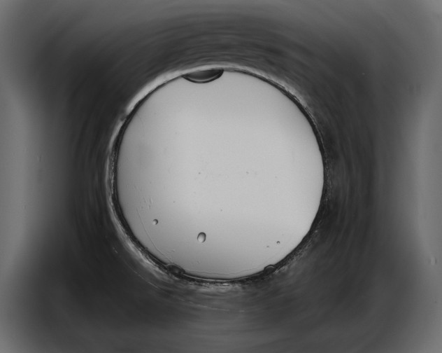 X0000086881526200705071151