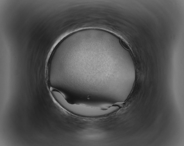 X0000086881527200705071151