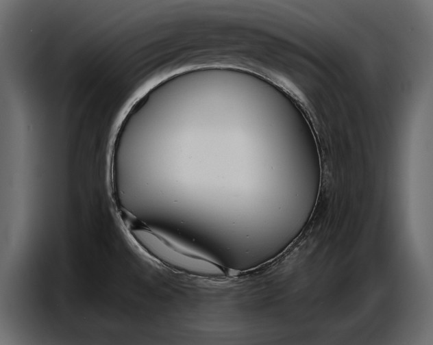 X0000086881528200705071151