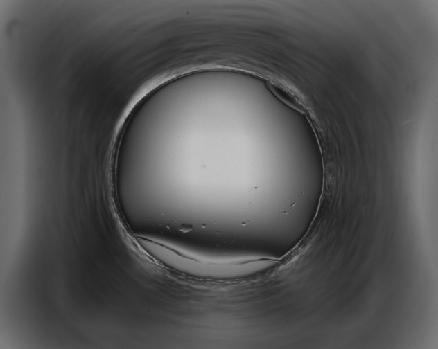 X0000086881530200705071151