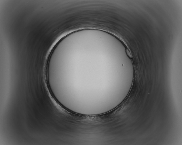 X0000086881531200705071151