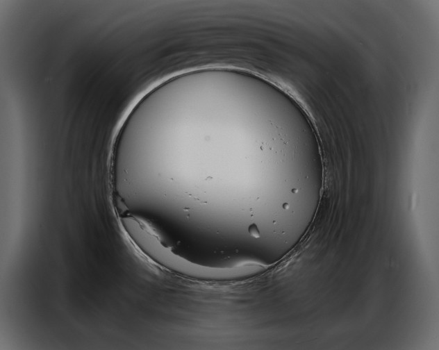 X0000086881532200705071151