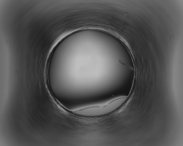 X0000086881533200705071151