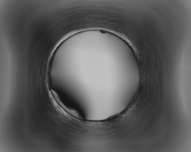 X0000086881534200705071151