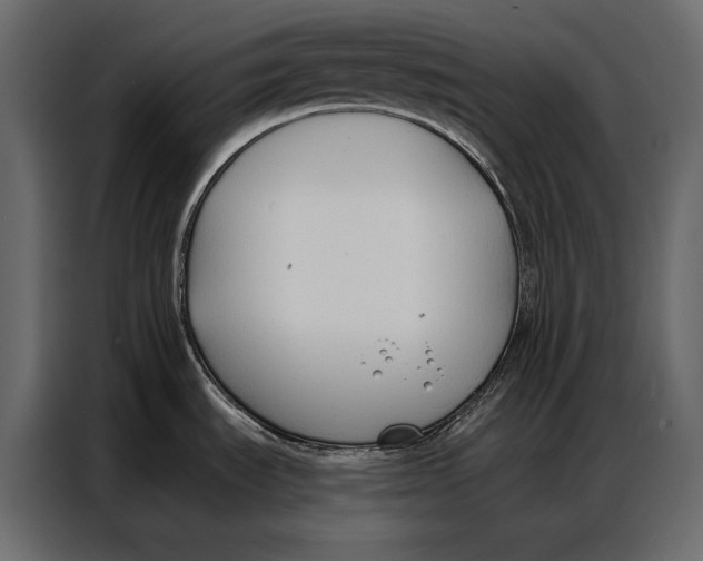 X0000086881535200705071151