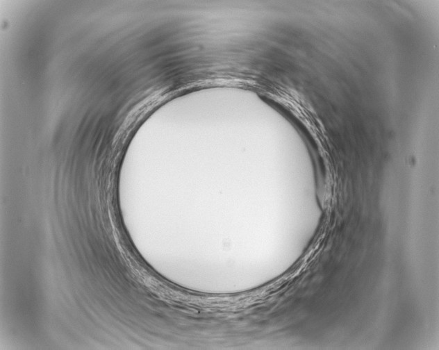 X0000086880001200705141422