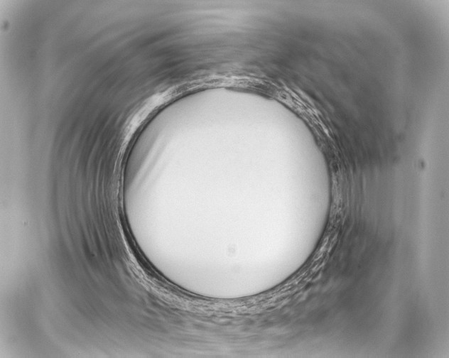 X0000086880003200705141422