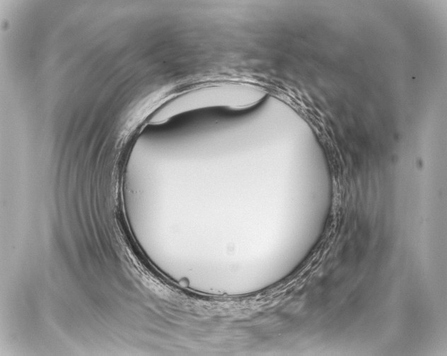 X0000086880005200705141422