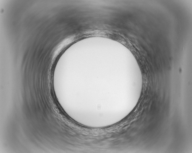 X0000086880006200705141422