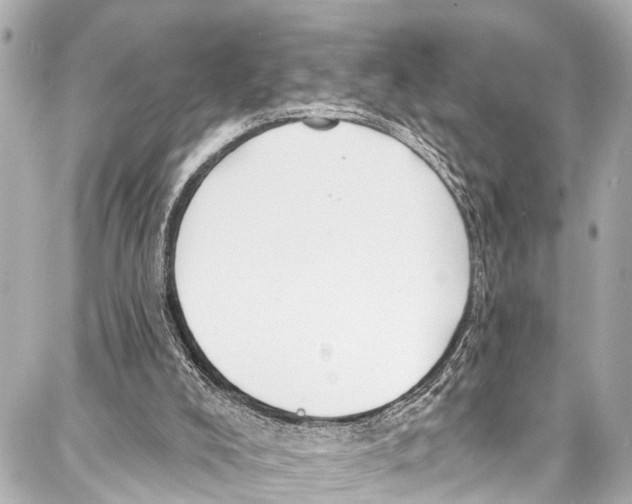 X0000086880008200705141422