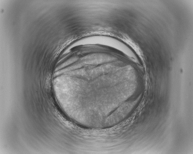 X0000086880009200705141422