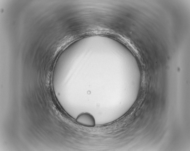 X0000086880010200705141422