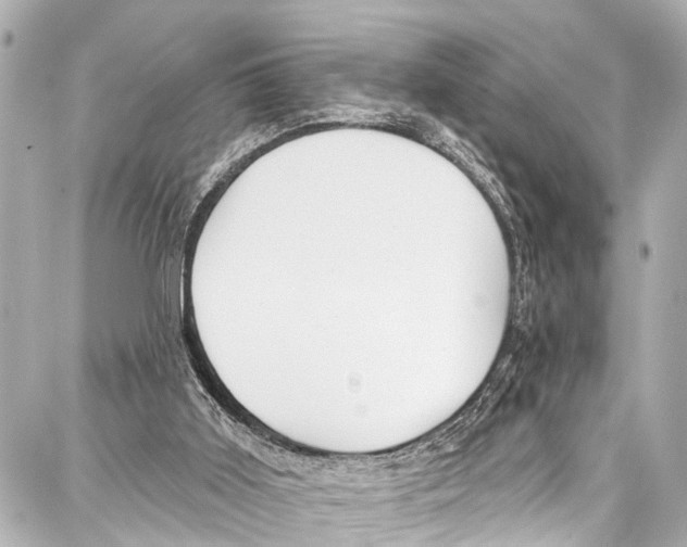 X0000086880011200705141422