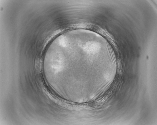 X0000086880012200705141422