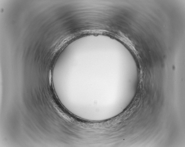 X0000086880013200705141422