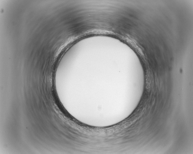 X0000086880015200705141422