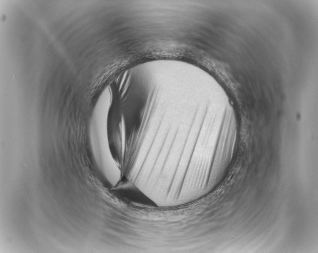 X0000086880017200705141422