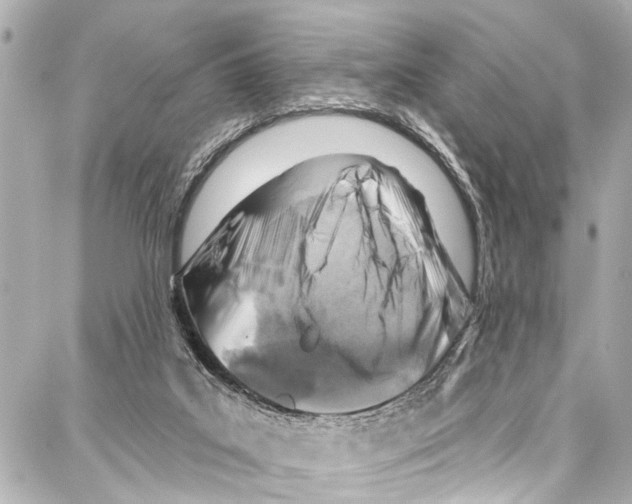 X0000086880019200705141422