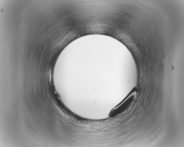 X0000086880021200705141422