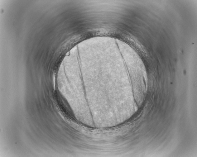 X0000086880022200705141422