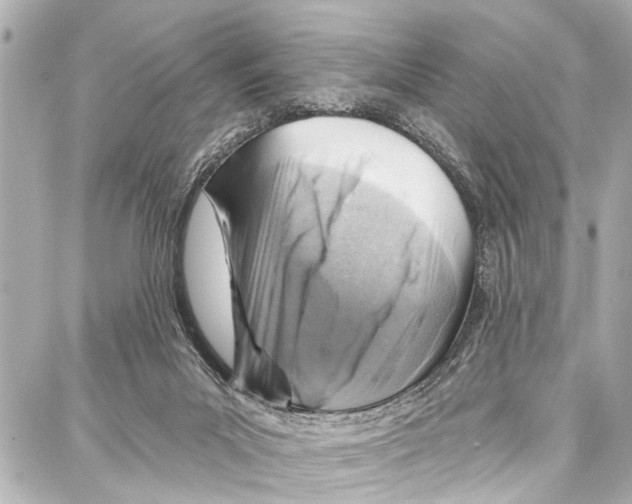 X0000086880023200705141422