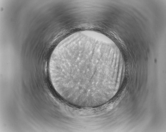 X0000086880024200705141422