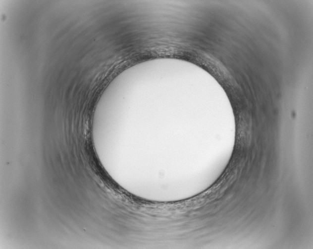 X0000086880025200705141421