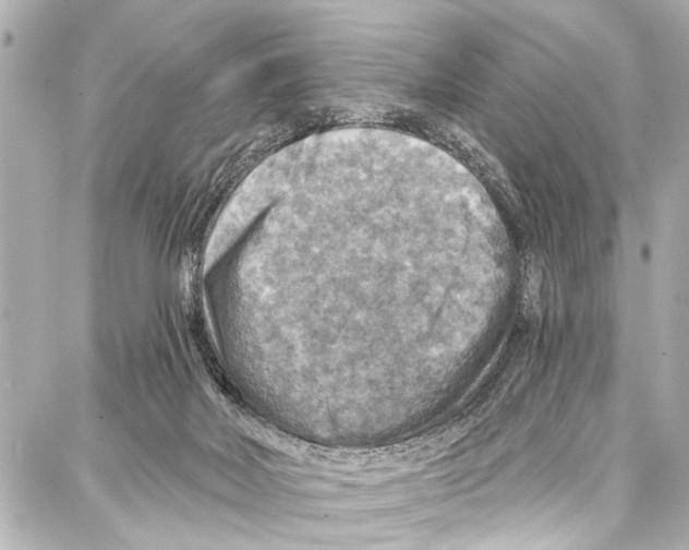 X0000086880026200705141421