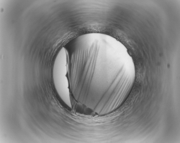 X0000086880027200705141421