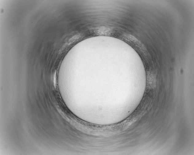 X0000086880028200705141421